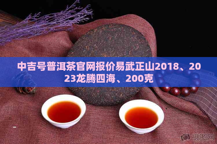 中吉号普洱茶官网报价易武正山2018、2023龙腾四海、200克