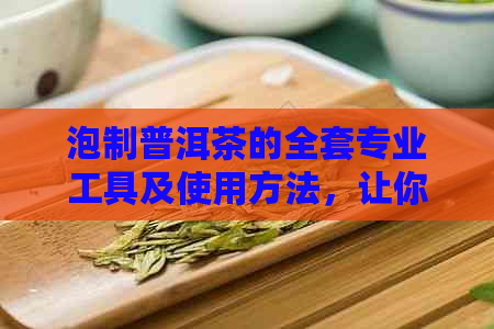 泡制普洱茶的全套专业工具及使用方法，让你轻松掌握泡茶技巧！