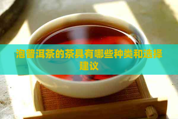 泡普洱茶的茶具有哪些种类和选择建议