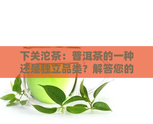 下关沱茶：普洱茶的一种还是独立品类？解答您的疑惑