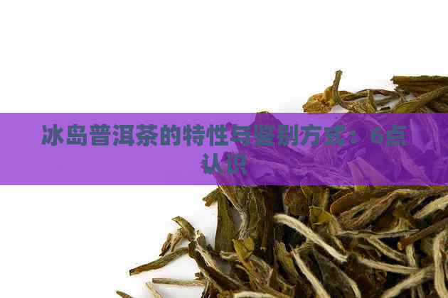 冰岛普洱茶的特性与鉴别方式：6点认识