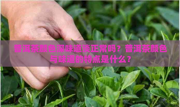 普洱茶颜色深味道淡正常吗？普洱茶颜色与味道的特点是什么？