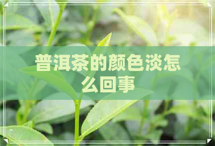 普洱茶的颜色淡怎么回事