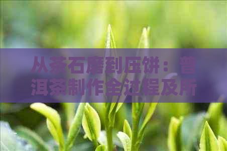 从茶石磨到压饼：普洱茶制作全过程及所需时间全面解析