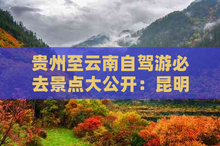 贵州至云南自驾游必去景点大公开：昆明、丽江等热门打卡地一网打尽！