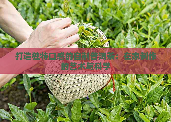 打造独特口感的自制普洱茶：在家制作的艺术与科学