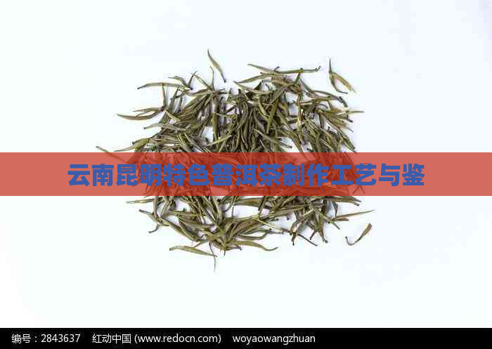 云南昆明特色普洱茶制作工艺与鉴