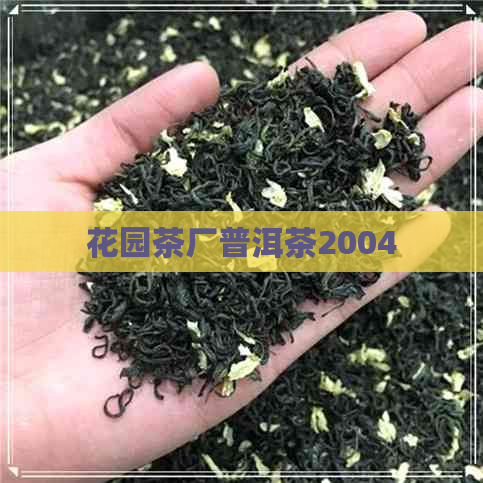 花园茶厂普洱茶2004