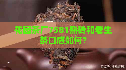 花园茶厂7581熟砖和老生茶口感如何？