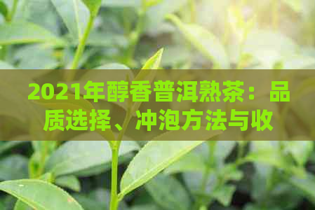 2021年醇香普洱熟茶：品质选择、冲泡方法与收藏技巧一应俱全