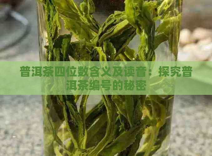 普洱茶四位数含义及读音：探究普洱茶编号的秘密