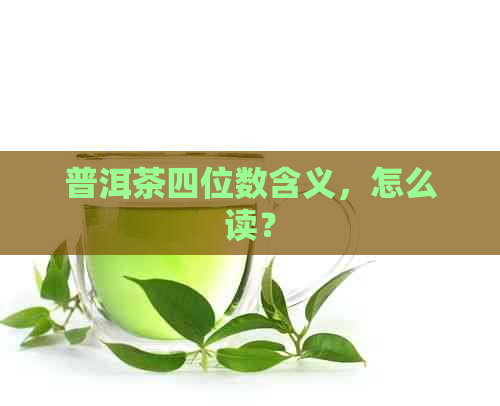 普洱茶四位数含义，怎么读？