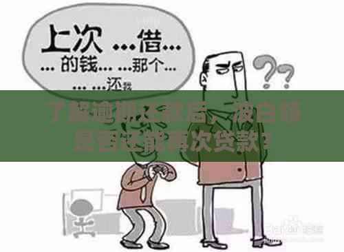 了解逾期还款后，波白领是否还能再次贷款？