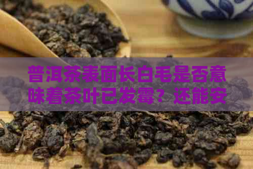 普洱茶表面长白毛是否意味着茶叶已发霉？还能安全饮用吗？