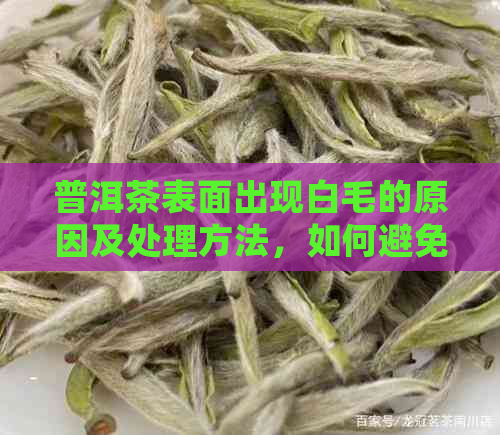 普洱茶表面出现白毛的原因及处理方法，如何避免普洱茶发白毛？