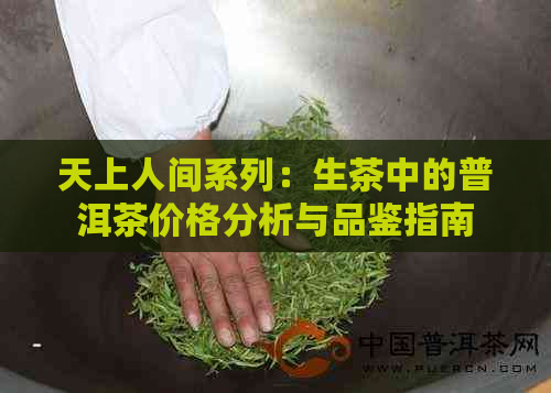 天上人间系列：生茶中的普洱茶价格分析与品鉴指南