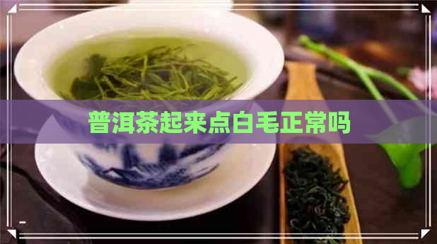 普洱茶起来点白毛正常吗