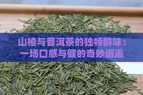 山楂与普洱茶的独特韵味：一场口感与健的奇妙邂逅