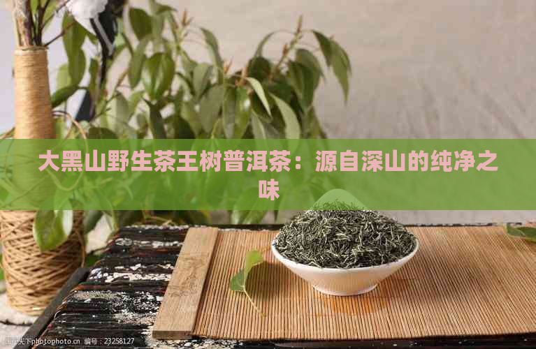 大黑山野生茶王树普洱茶：源自深山的纯净之味