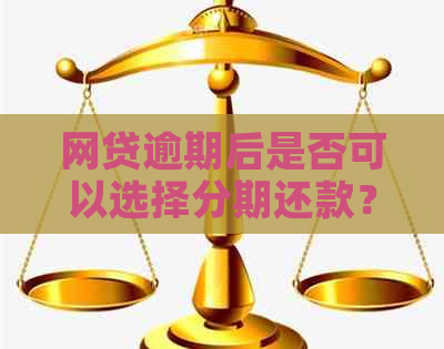 网贷逾期后是否可以选择分期还款？可能面临哪些影响？