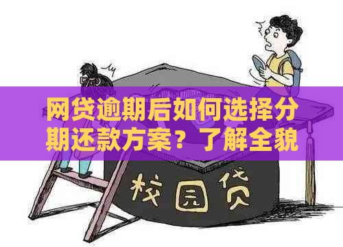 网贷逾期后如何选择分期还款方案？了解全貌以解决您的疑虑