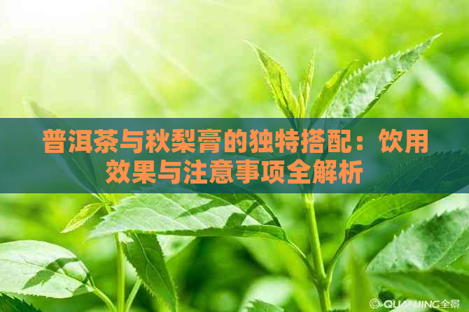 普洱茶与秋梨膏的独特搭配：饮用效果与注意事项全解析