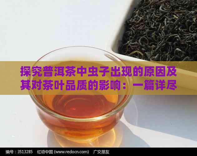 探究普洱茶中虫子出现的原因及其对茶叶品质的影响：一篇详尽解答