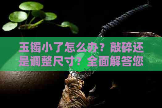 玉镯小了怎么办？敲碎还是调整尺寸？全面解答您的疑惑