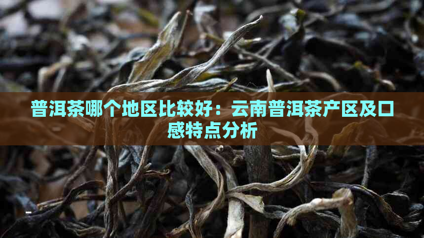 普洱茶哪个地区比较好：云南普洱茶产区及口感特点分析