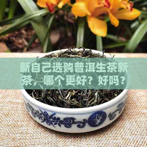 新自己选购普洱生茶新茶，哪个更好？好吗？