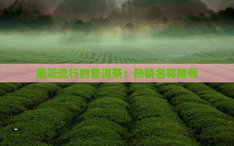 最近流行的普洱茶：热销名称推荐