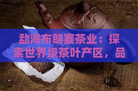 勐海布朗寨茶业：探索世界级茶叶产区，品味正宗普洱茶的魅力与品质