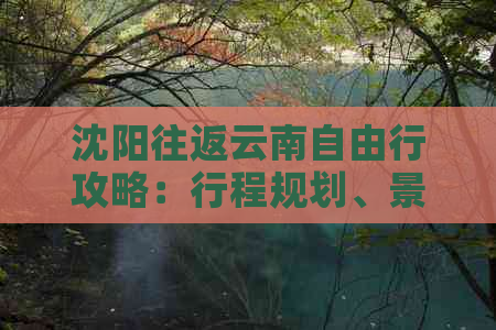 沈阳往返云南自由行攻略：行程规划、景点推荐、交通指南及住宿建议全解析