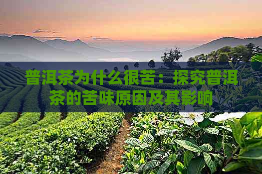 普洱茶为什么很苦：探究普洱茶的苦味原因及其影响