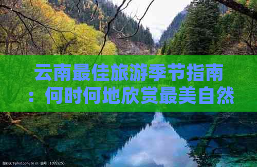 云南更佳旅游季节指南：何时何地欣赏最美自然风光与民族文化？