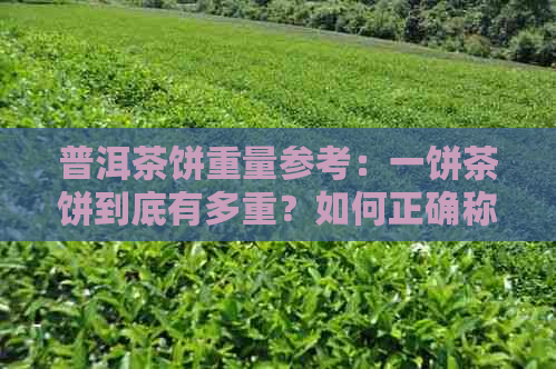 普洱茶饼重量参考：一饼茶饼到底有多重？如何正确称量与购买？