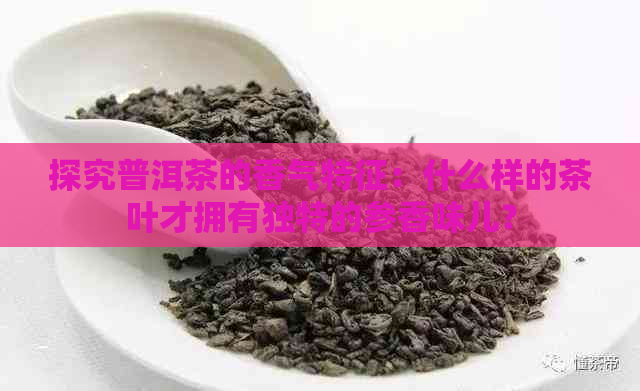 探究普洱茶的香气特征：什么样的茶叶才拥有独特的参香味儿？