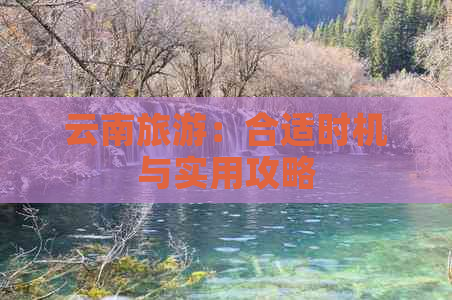 云南旅游：合适时机与实用攻略