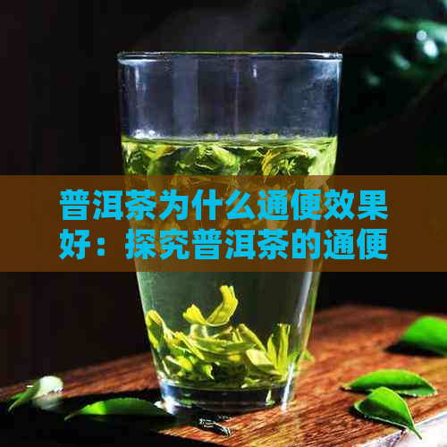 普洱茶为什么通便效果好：探究普洱茶的通便原理与速度