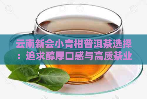 云南新会小青柑普洱茶选择：追求醇厚口感与高质茶业的佼佼者