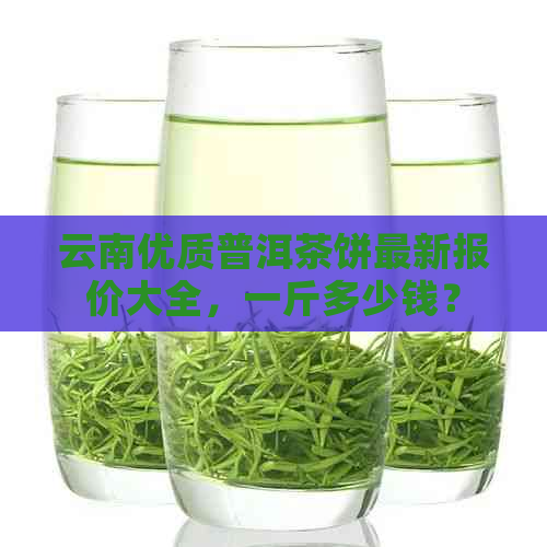 云南优质普洱茶饼最新报价大全，一斤多少钱？