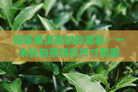 探索普洱茶饼的重量：一米长的茶饼在尺寸和重量上有何标准？