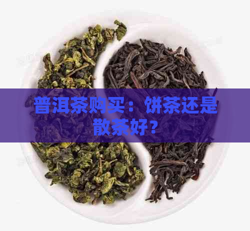 普洱茶购买：饼茶还是散茶好？