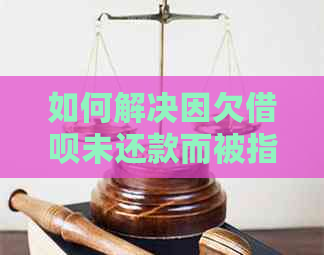 如何解决因欠借呗未还款而被指控信贷欺诈的问题？