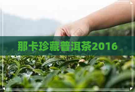 那卡珍藏普洱茶2016