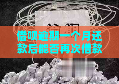 借呗逾期一个月还款后能否再次借款及利息计算：完整问题解答