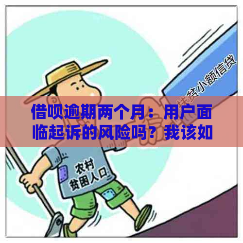 借呗逾期两个月：用户面临起诉的风险吗？我该如何应对这种情况？