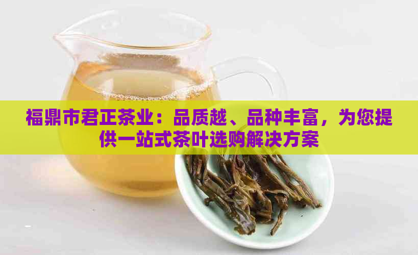 福鼎市君正茶业：品质越、品种丰富，为您提供一站式茶叶选购解决方案