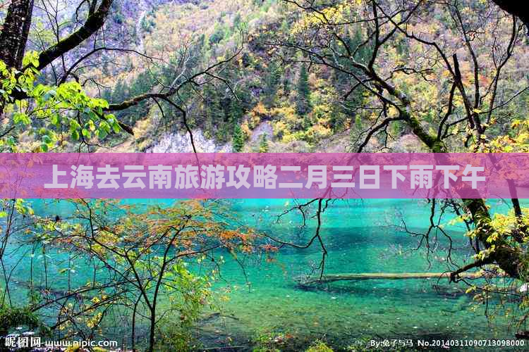 上海去云南旅游攻略二月三日下雨下午