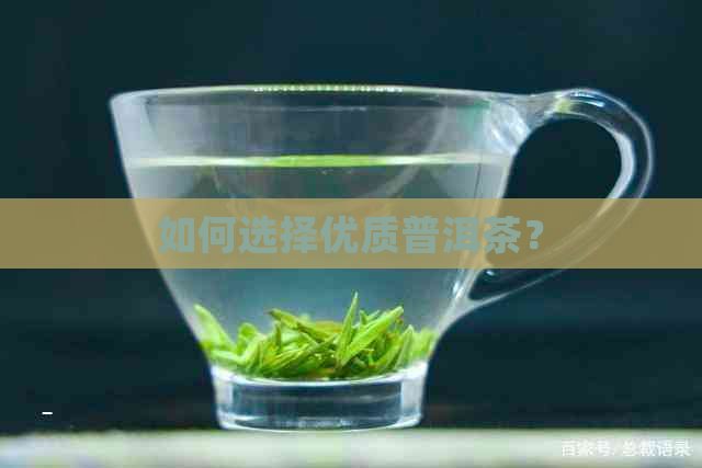 如何选择优质普洱茶？